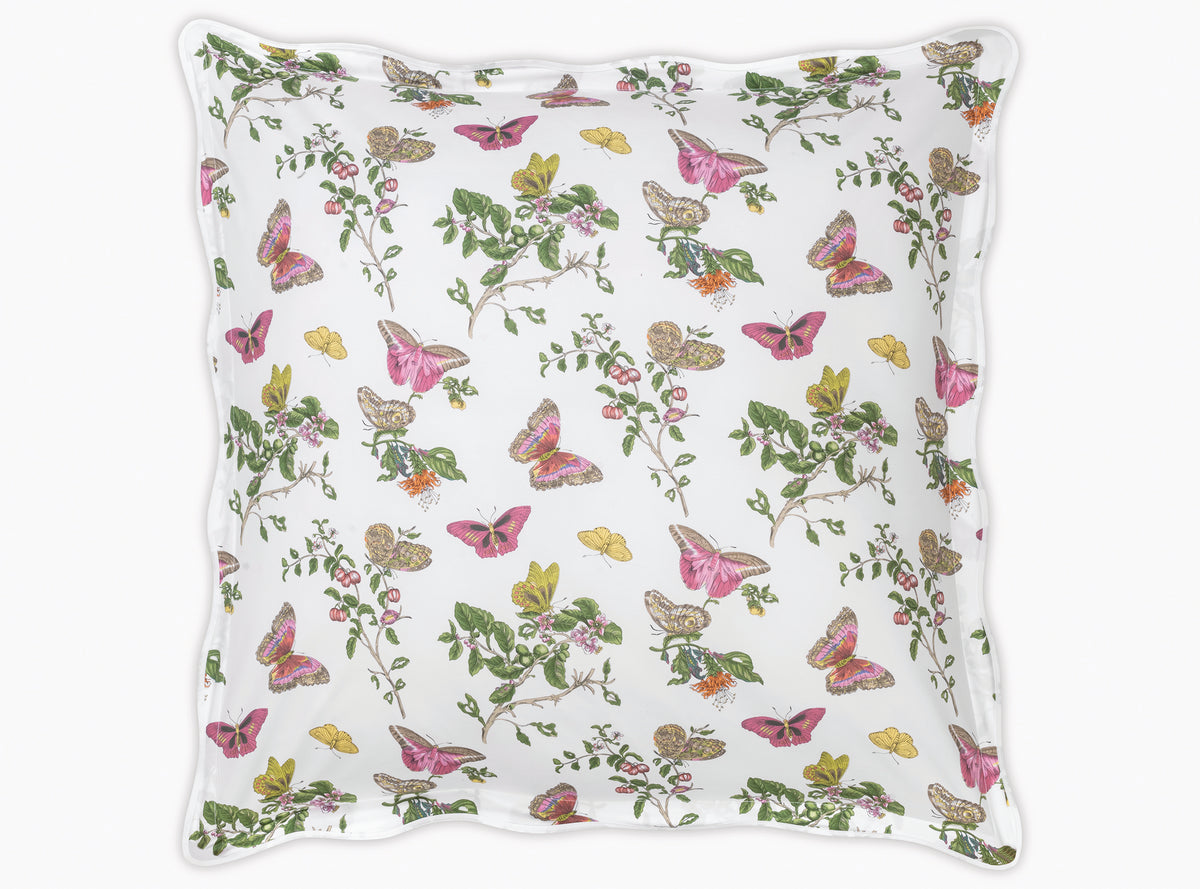 The Baudin Butterfly Collection