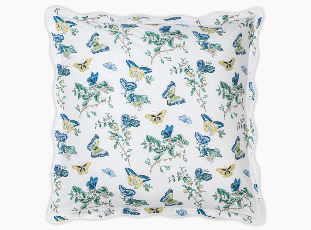 The Baudin Butterfly Collection