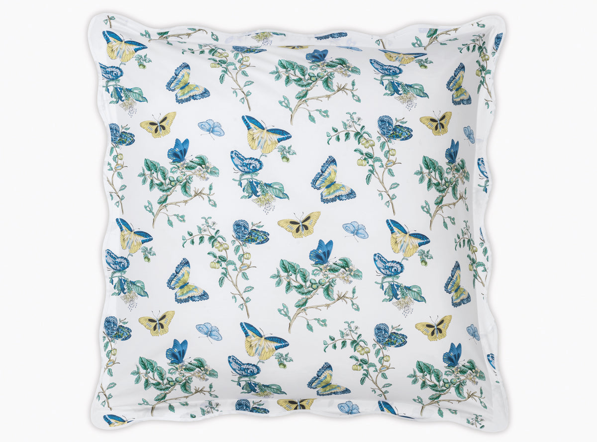 The Baudin Butterfly Collection