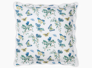The Baudin Butterfly Collection