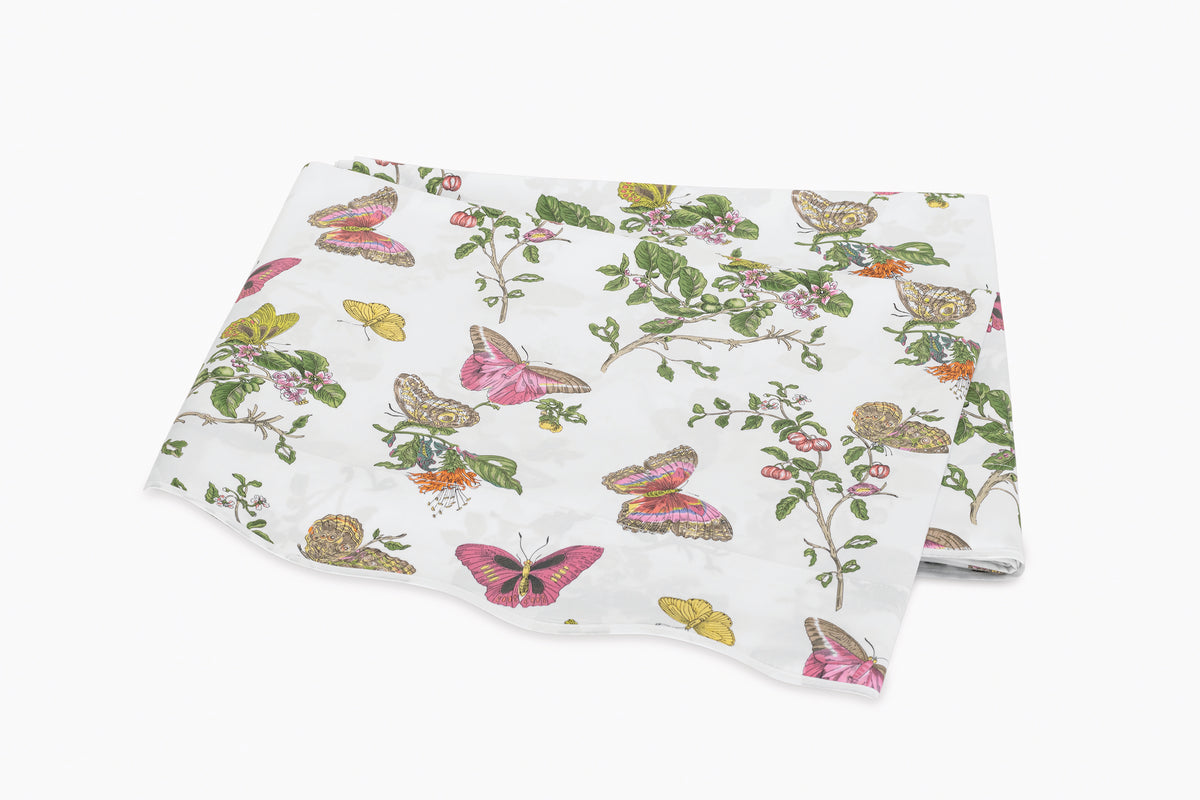 The Baudin Butterfly Collection