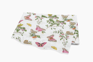 The Baudin Butterfly Collection