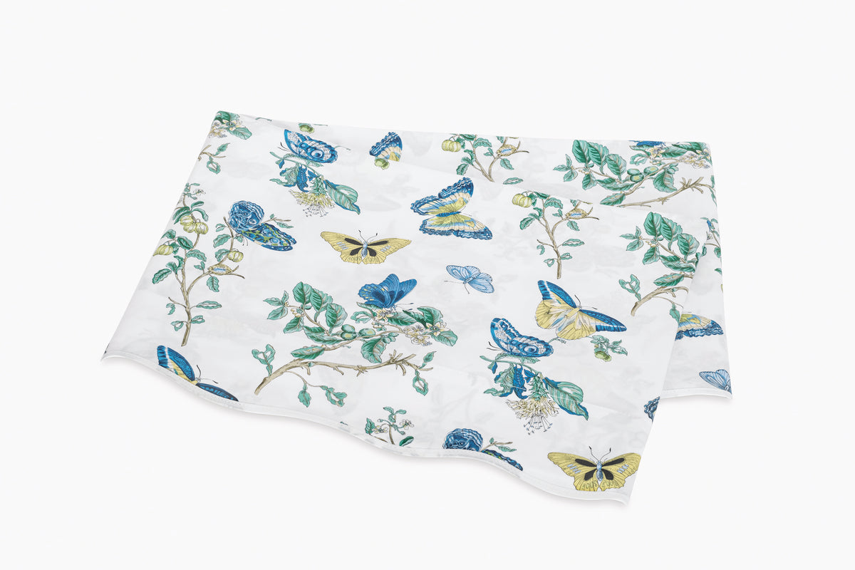 The Baudin Butterfly Collection