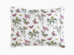 The Baudin Butterfly Collection