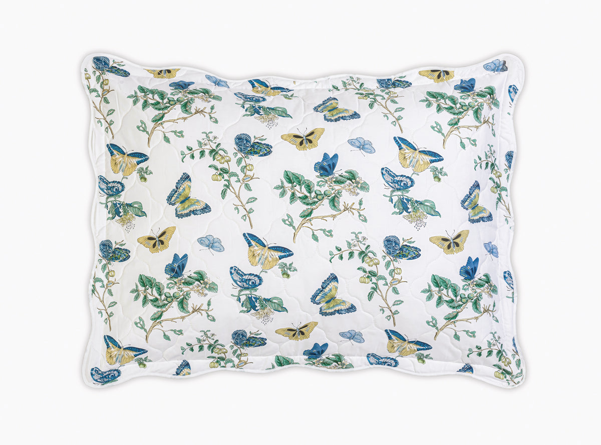 The Baudin Butterfly Collection