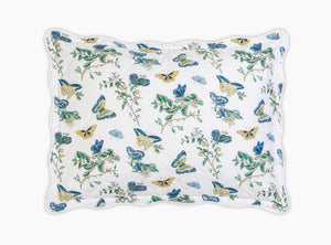 The Baudin Butterfly Collection