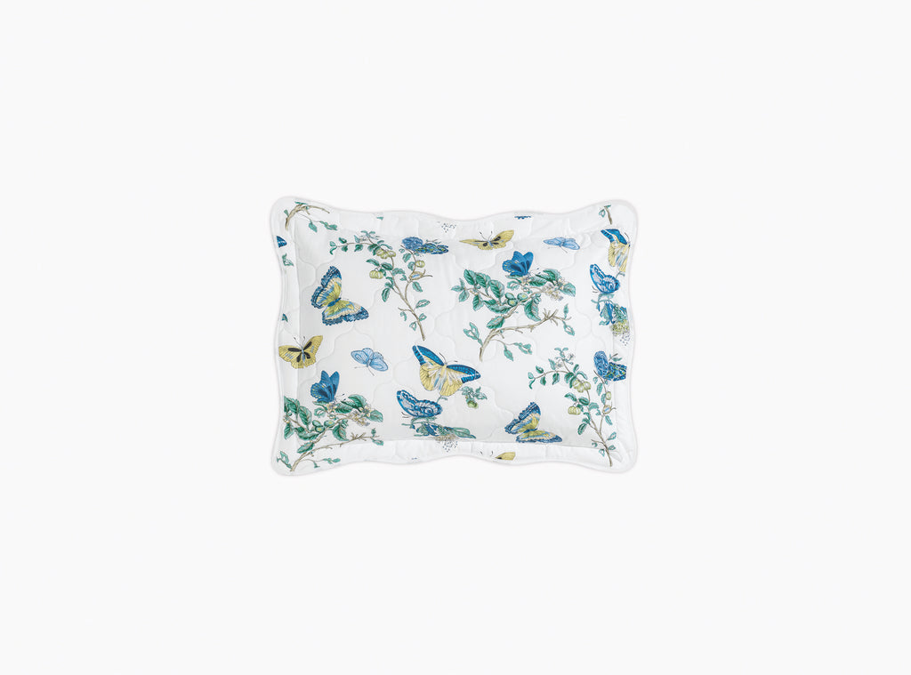 The Baudin Butterfly Collection