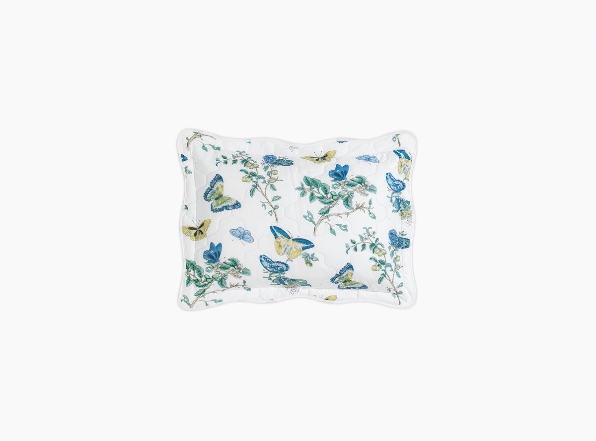 The Baudin Butterfly Collection