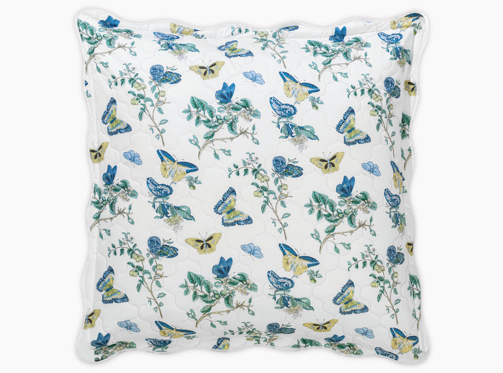 The Baudin Butterfly Collection