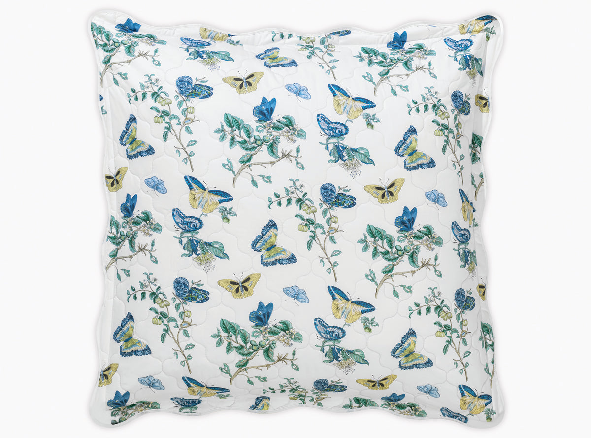 The Baudin Butterfly Collection