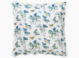 The Baudin Butterfly Collection