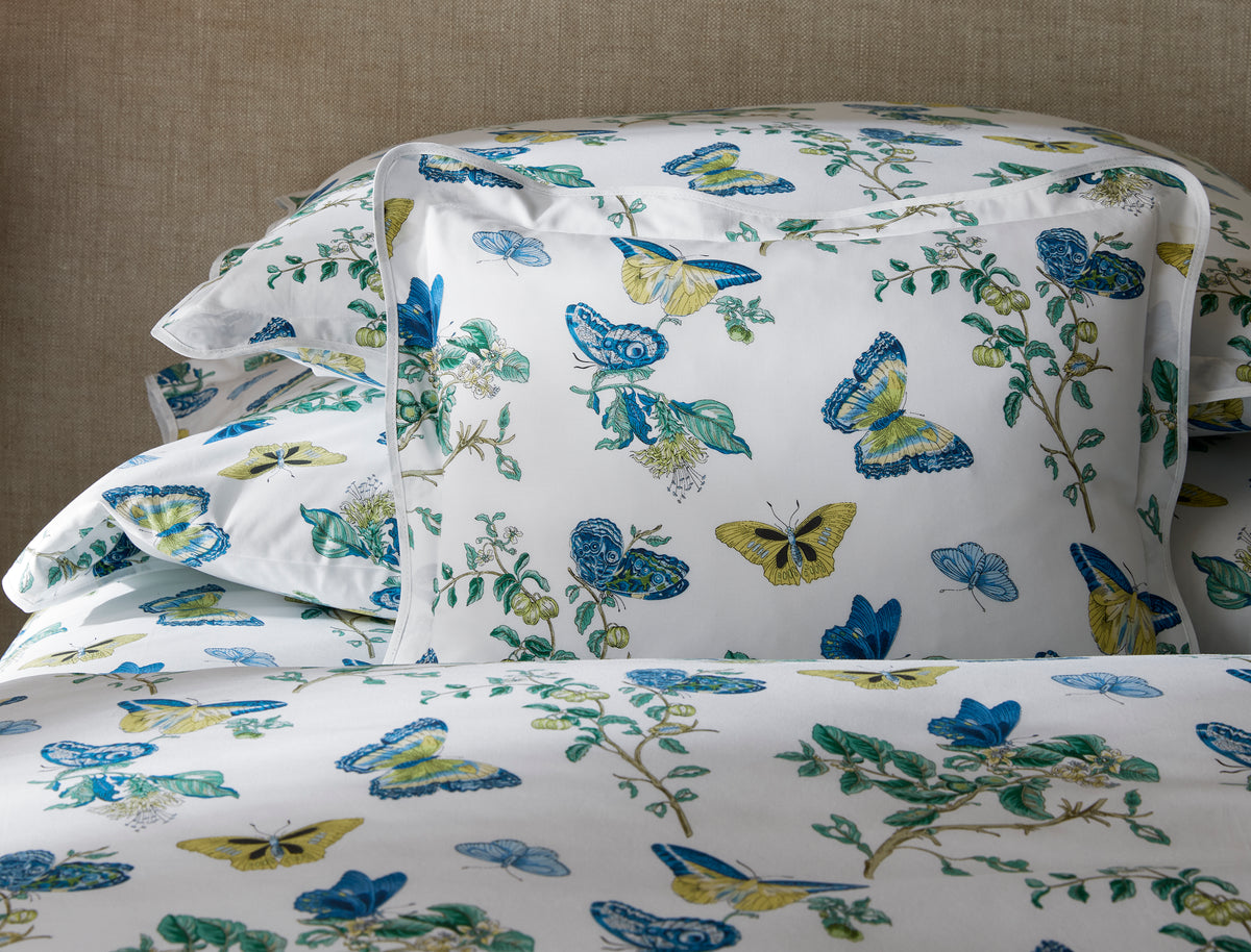 The Baudin Butterfly Collection