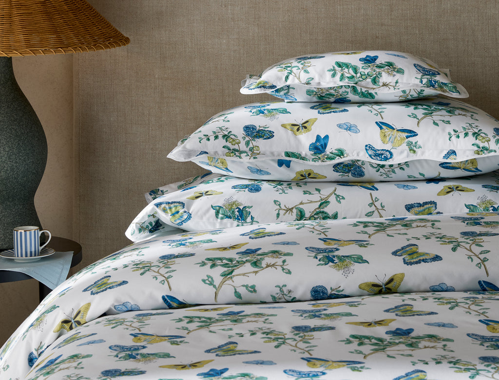 The Baudin Butterfly Collection