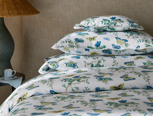 The Baudin Butterfly Collection