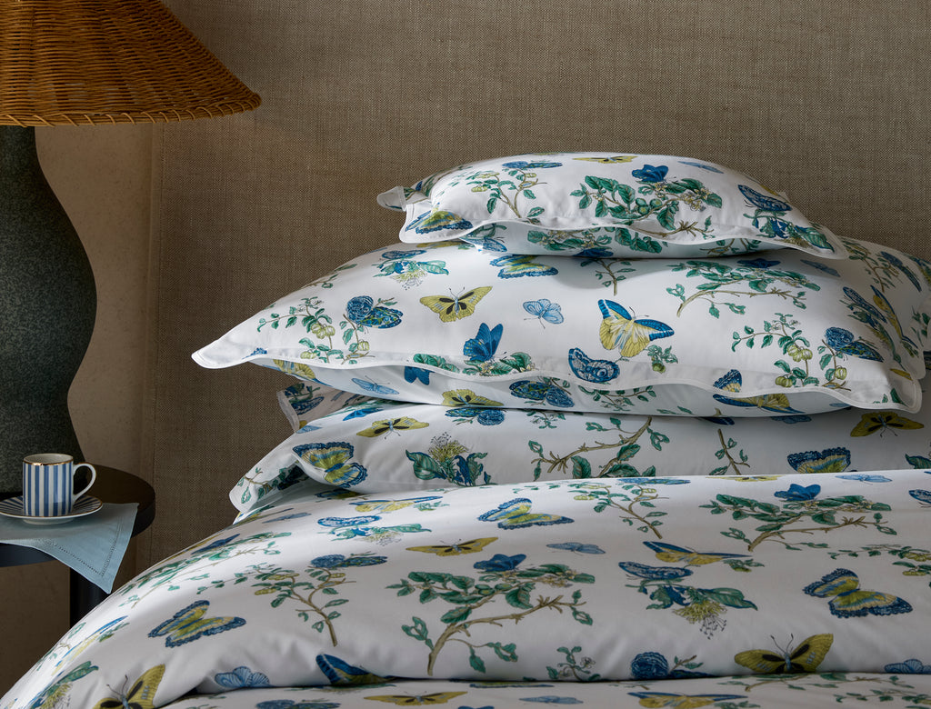 The Baudin Butterfly Collection