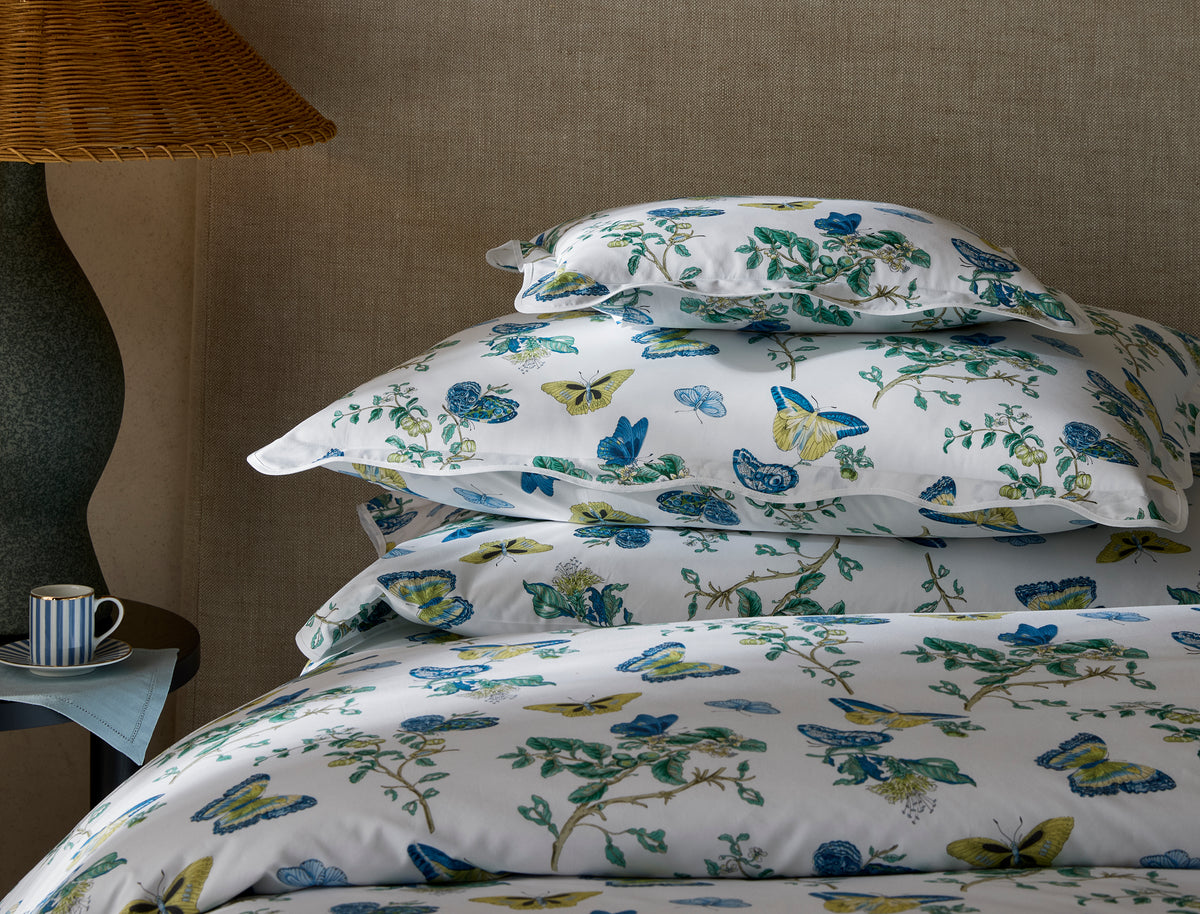 The Baudin Butterfly Collection