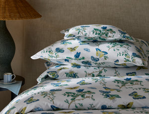 The Baudin Butterfly Collection
