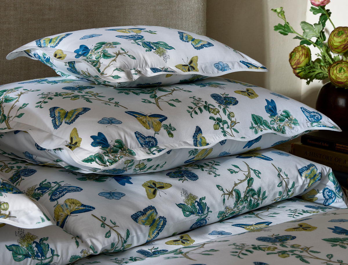 The Baudin Butterfly Collection