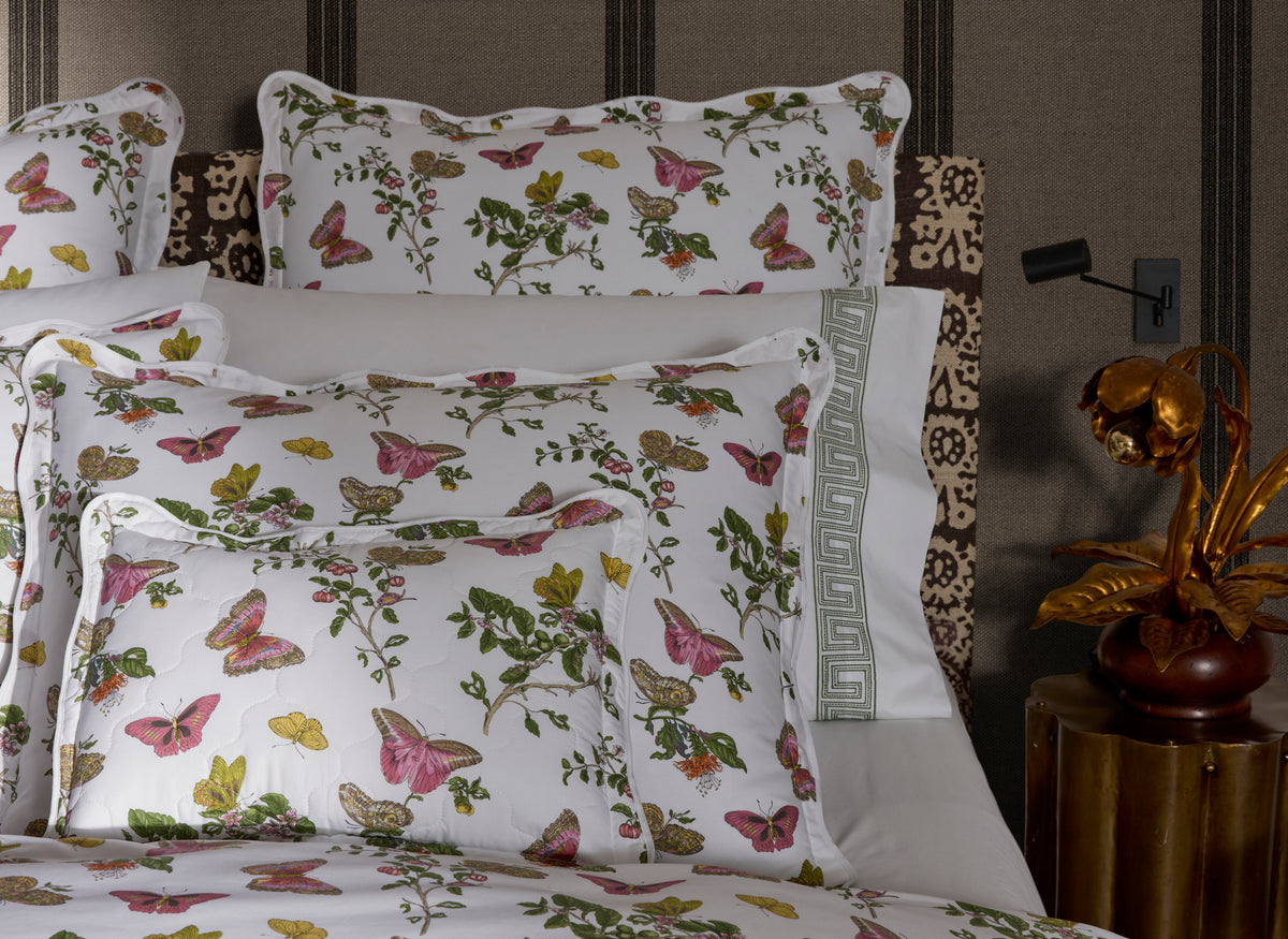 The Baudin Butterfly Collection