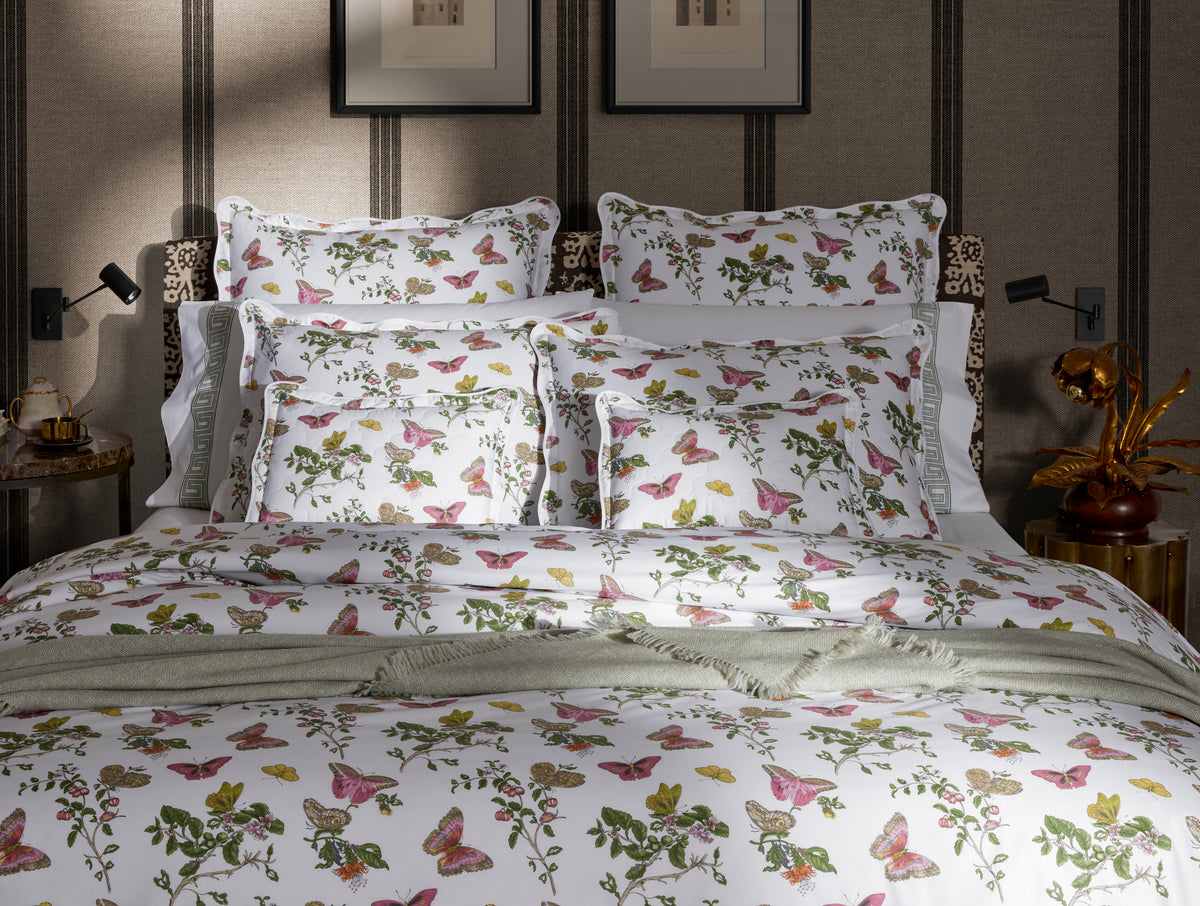 The Baudin Butterfly Collection