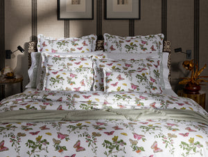 The Baudin Butterfly Collection