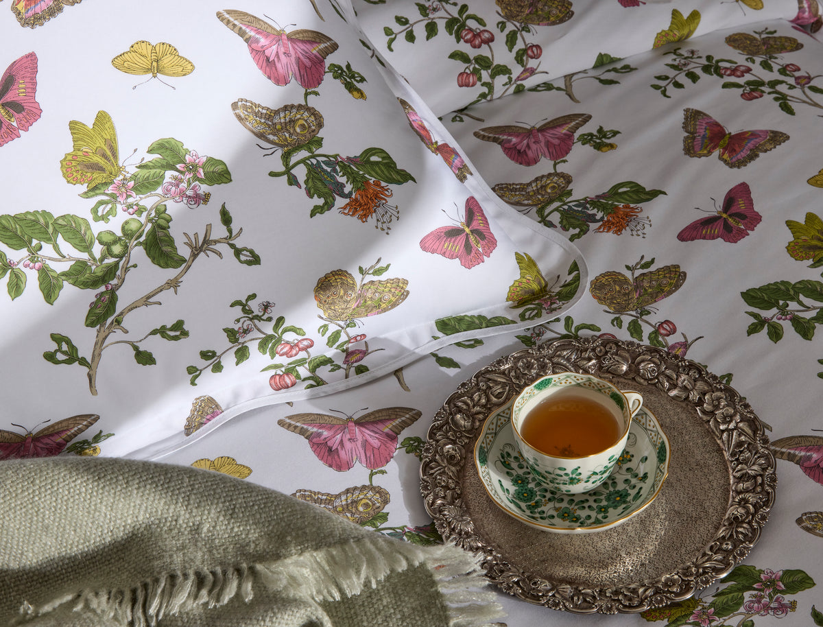 The Baudin Butterfly Collection