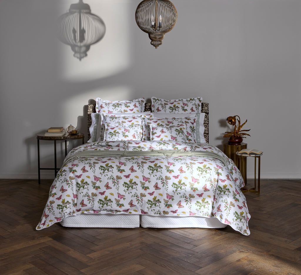 The Baudin Butterfly Collection