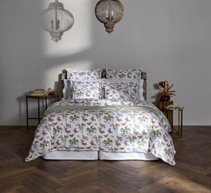 The Baudin Butterfly Collection