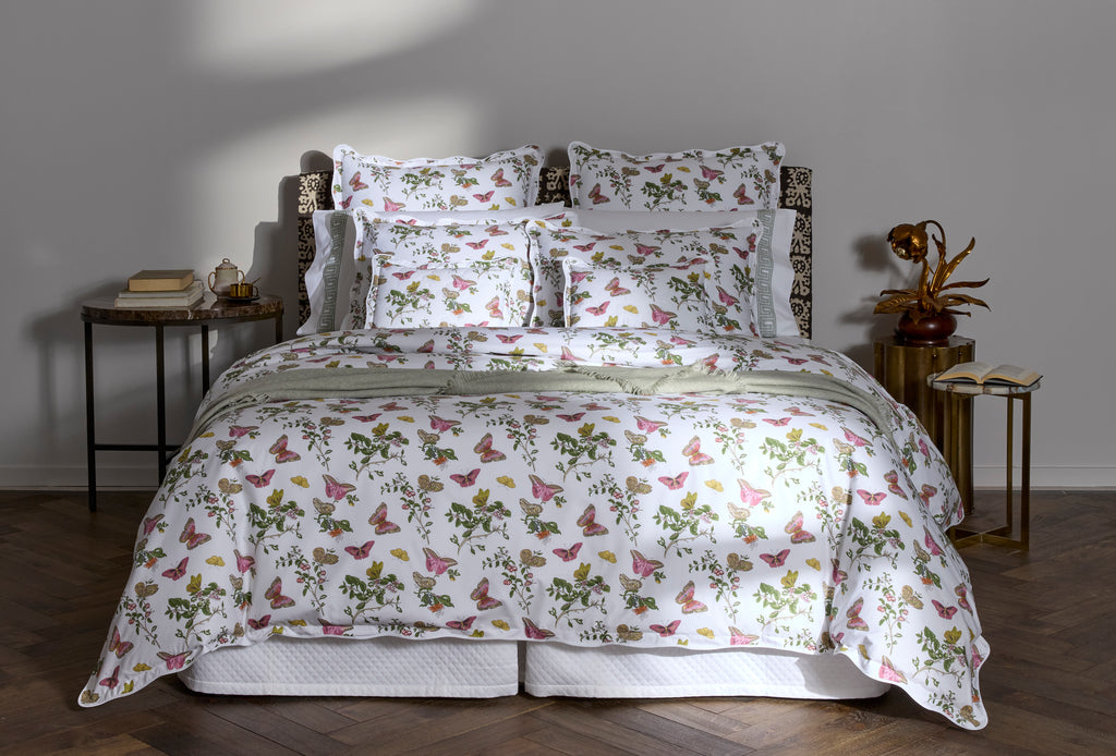 The Baudin Butterfly Collection