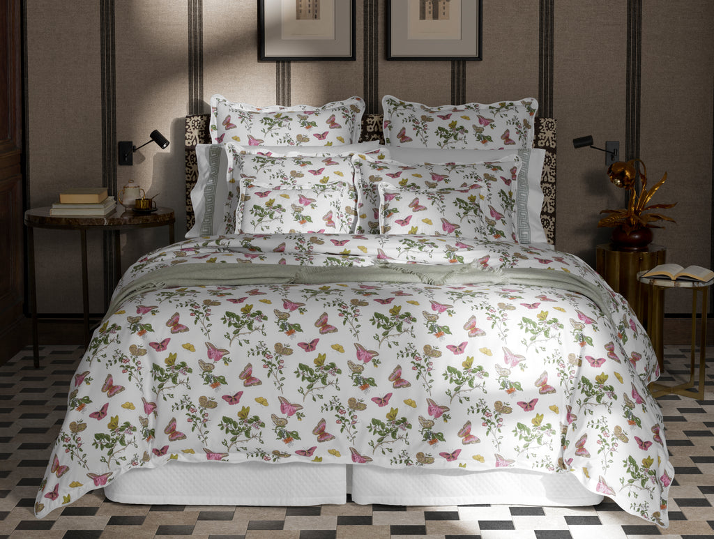 The Baudin Butterfly Collection