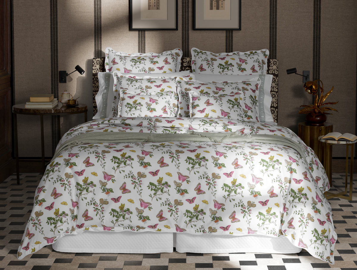 The Baudin Butterfly Collection