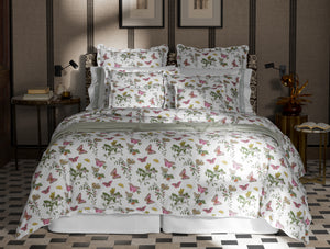 The Baudin Butterfly Collection