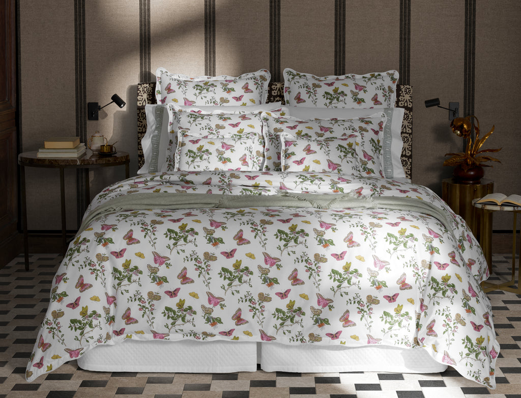 The Baudin Butterfly Collection