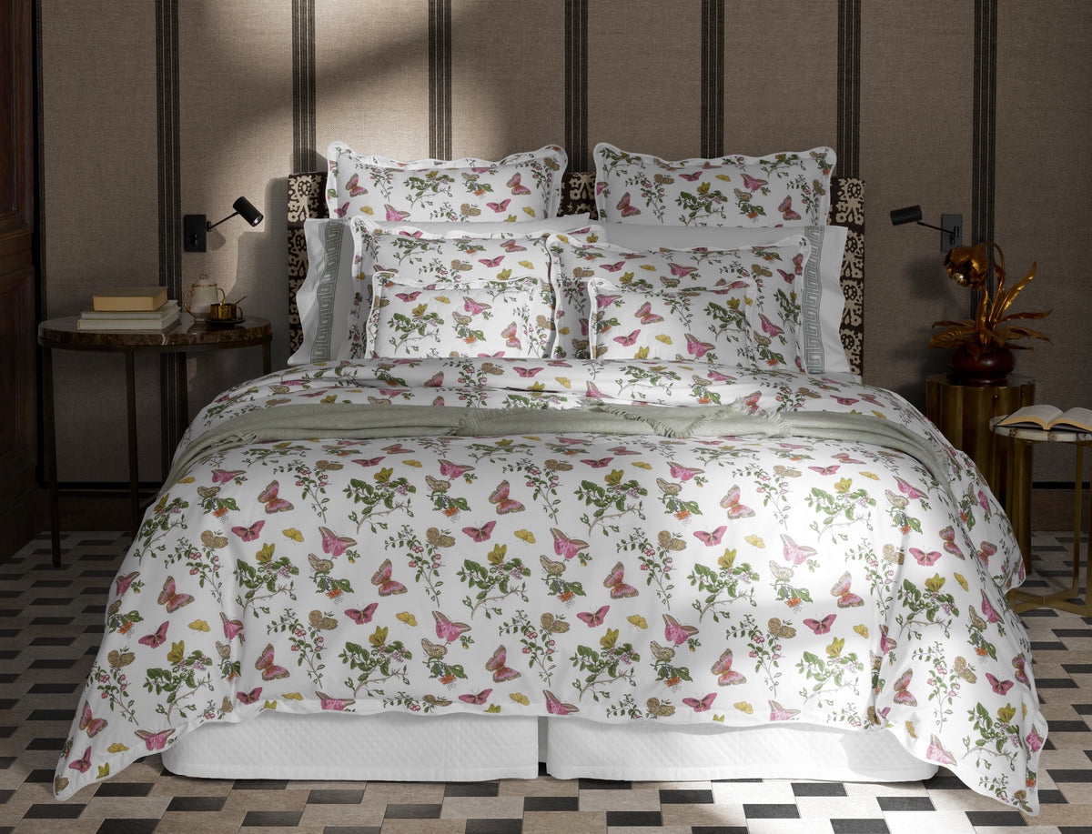 The Baudin Butterfly Collection