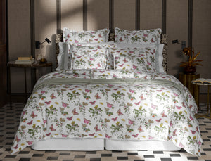 The Baudin Butterfly Collection