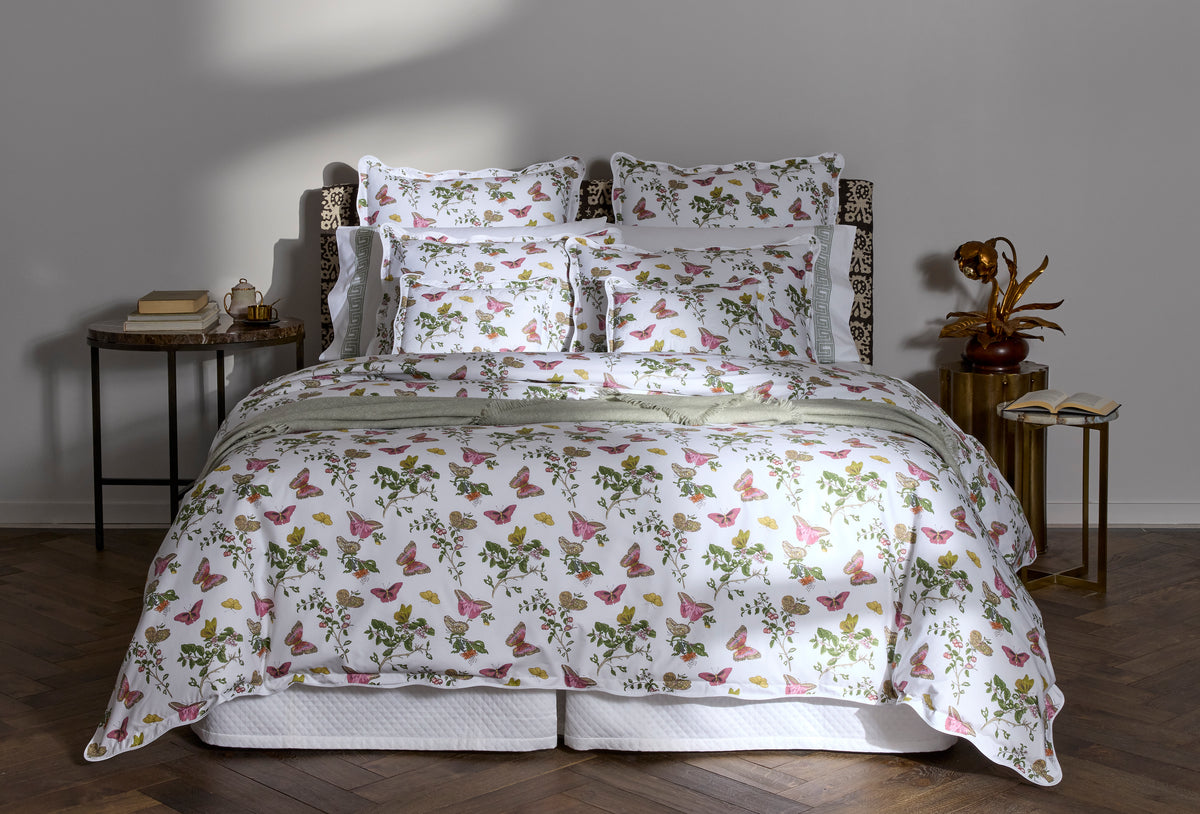 The Baudin Butterfly Collection