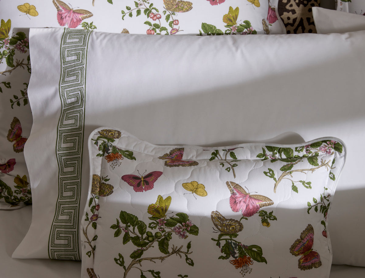 The Baudin Butterfly Collection