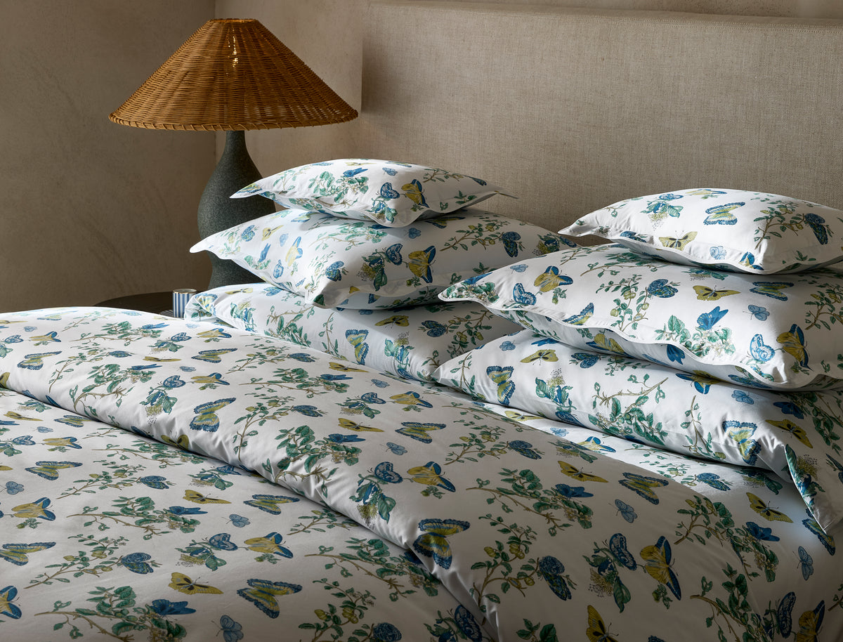 The Baudin Butterfly Collection
