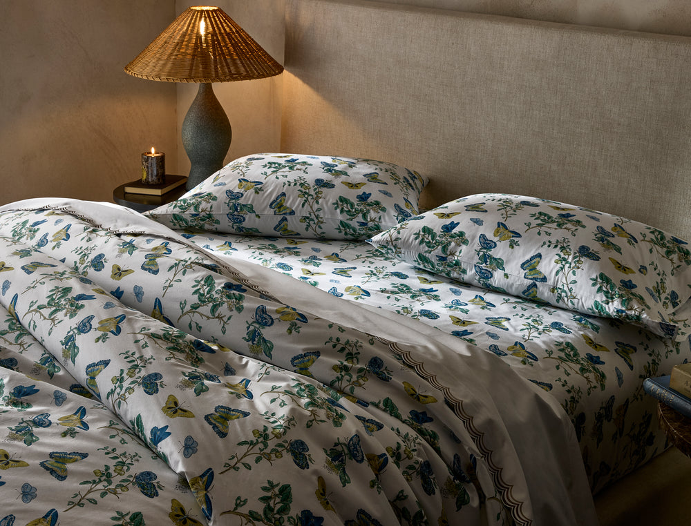 The Baudin Butterfly Collection