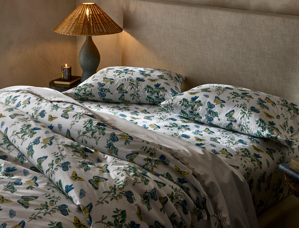 The Baudin Butterfly Collection