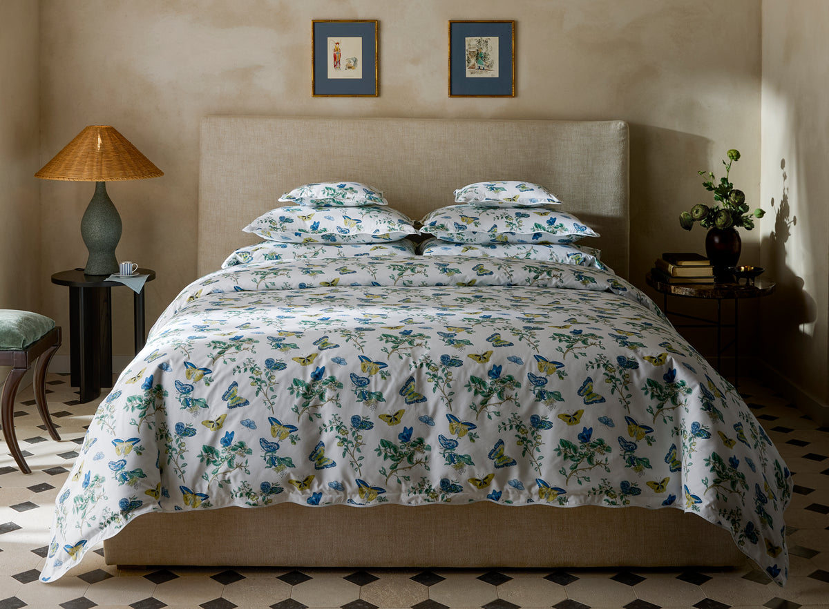 The Baudin Butterfly Collection