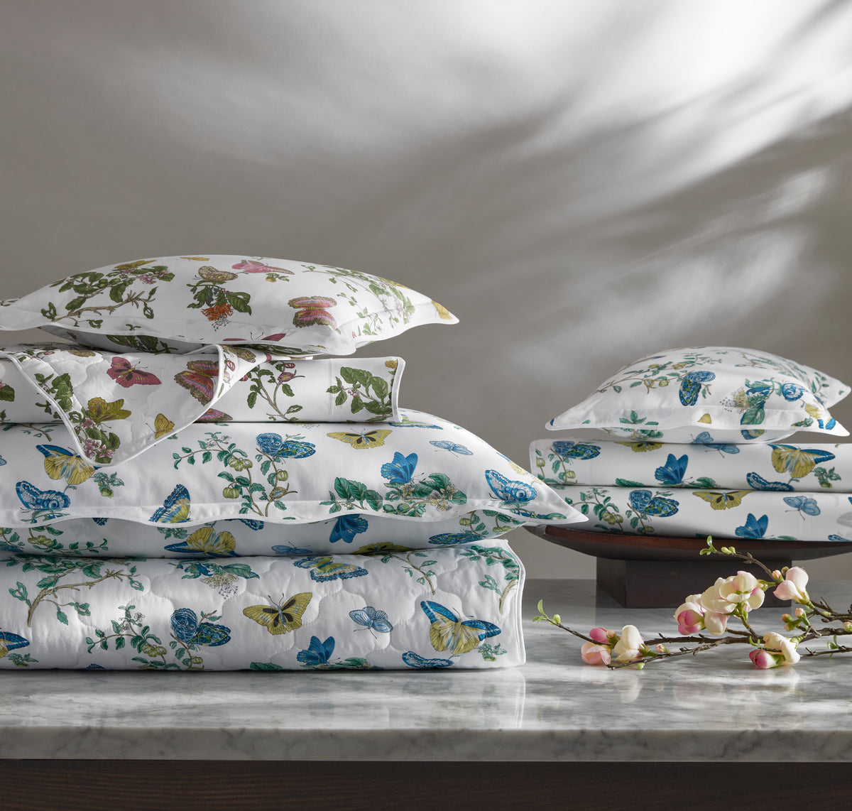 The Baudin Butterfly Collection