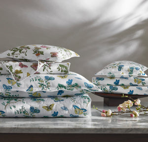 The Baudin Butterfly Collection