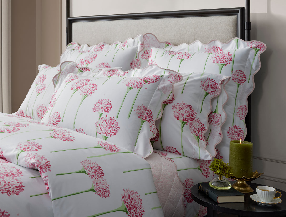 The Charlotte Collection