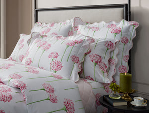The Charlotte Collection