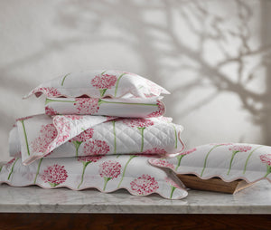 The Charlotte Collection