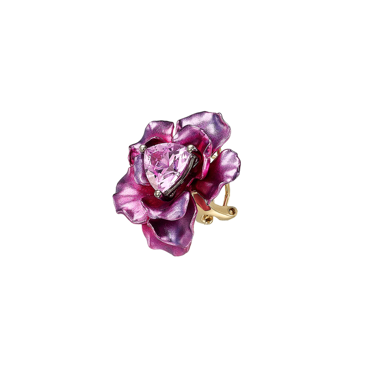 Begonia Rose Studs