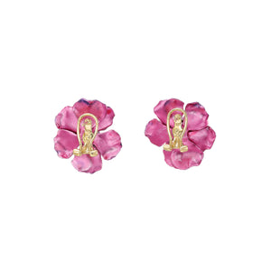 Begonia Rose Studs