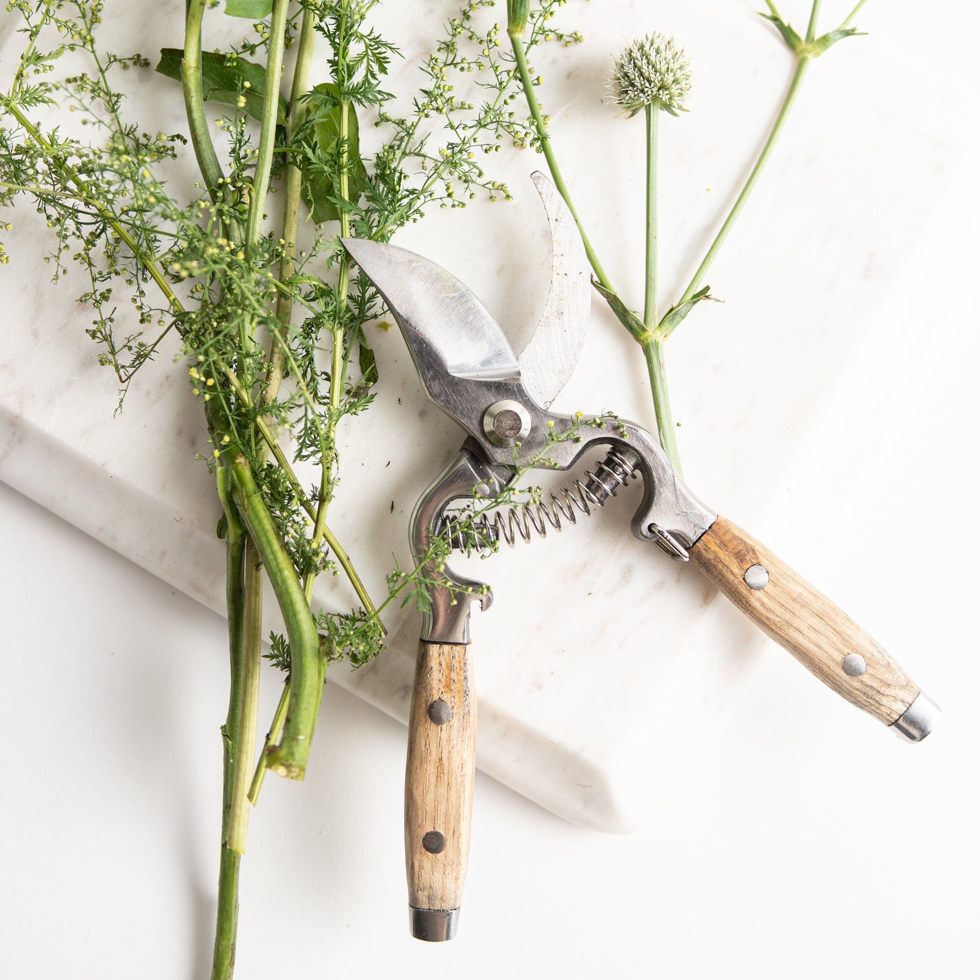 Ash Handle German Shears