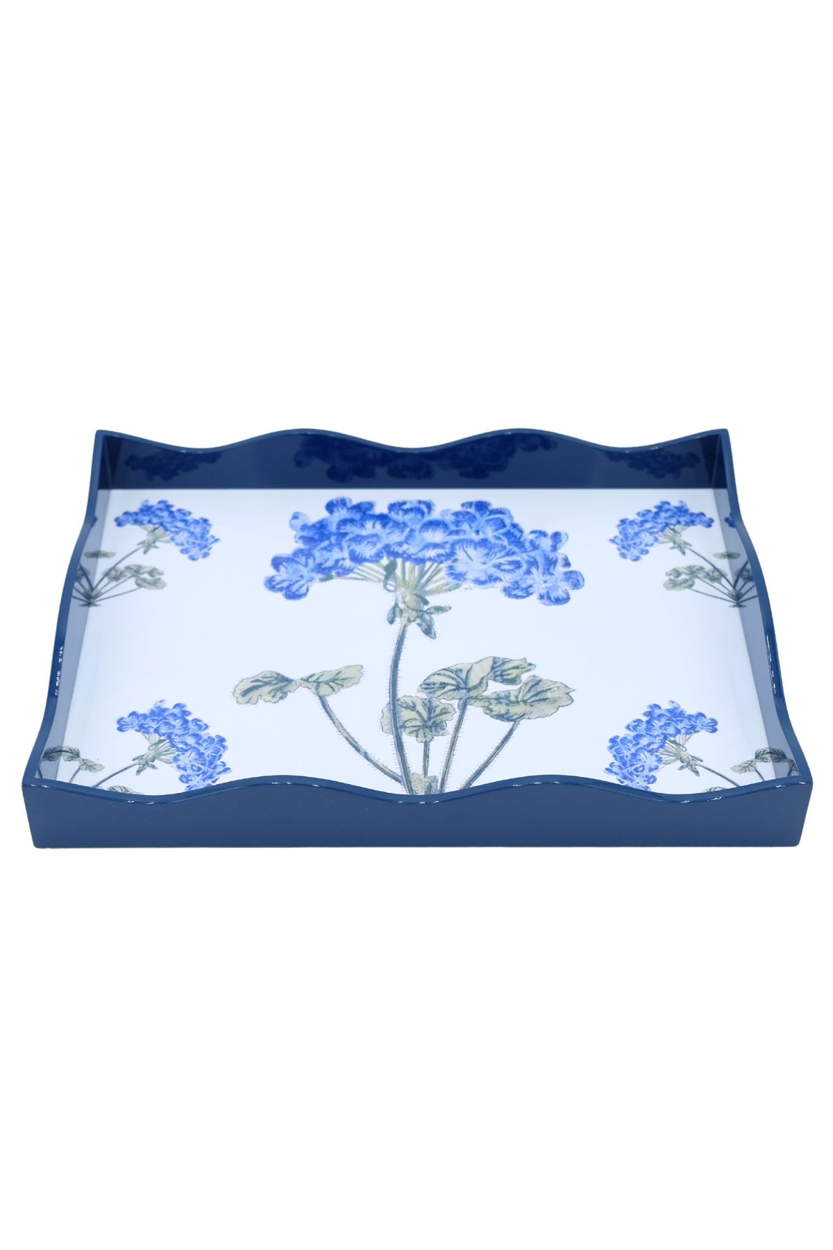 Front view of Blue Hydrangea lacquerware tray with scalloped edges and blue hydrangea floral interior on white background
